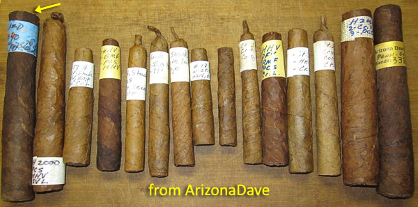 Garden20180829_3871_cigars_fromArizonaDave_600.jpg