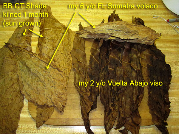 Garden20180901_3875_cigar_CTShade_vueltaAbajo_components_600.jpg