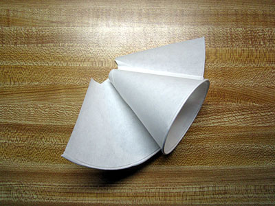 Garden20150122_1648_paperCone_wrapping2_400.jpg
