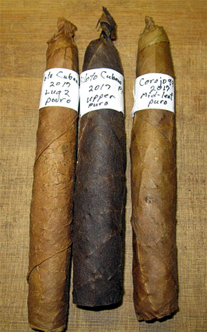 Garden20180410_3509_cigars_PilotoCubano_Corojo99Puros_300.jpg