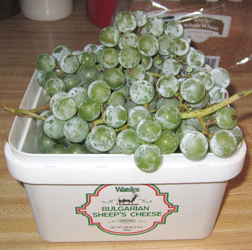 Garden20230817_7245_grapes_fromFridge_500.jpg