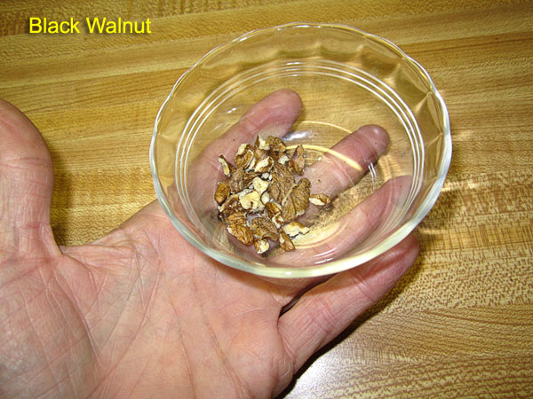 Garden20190306_4176_blackWalnutMeat_600.jpg