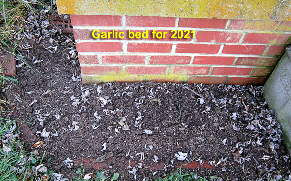 Garden20201121_5554_garlicBed_porchCorner_600.jpg