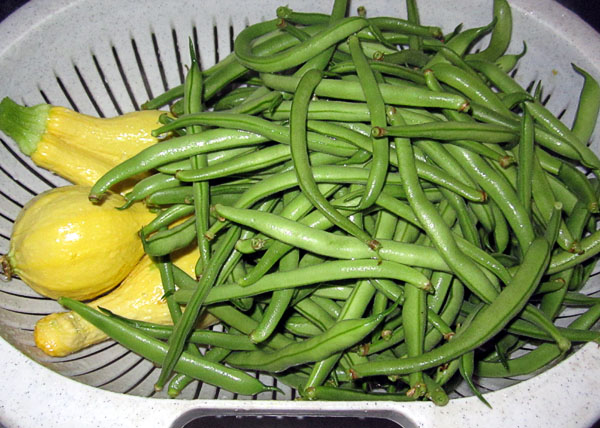 Garden20230710_7103_squashBeansHarvest_600.jpg