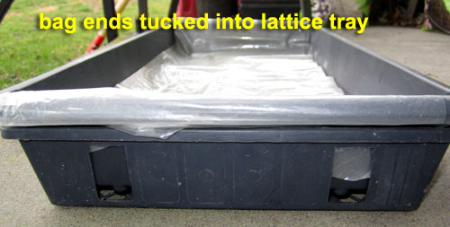 Garden20230303_6871_pea_starting2 _linerTucked_500.jpg