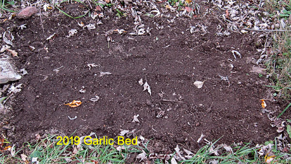 Garden20181108_3982_GarlicBedPlanted_600.jpg