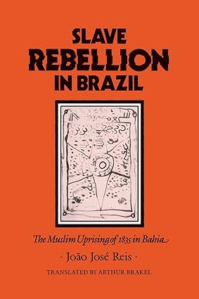 SlaveRebellionInBrazil_COVER.jpg
