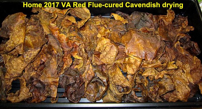 Garden20220111_6174_Home2017VARedFC_CAV_drying_700.jpg
