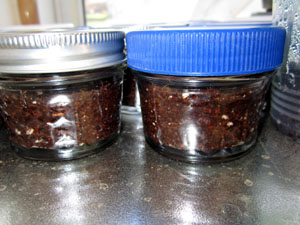 Garden20120310_100_Germination4ozJars_closeup_300.jpg