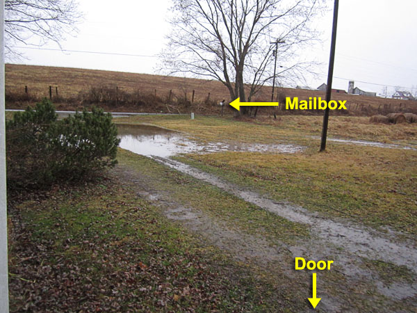 Garden20220224_6240_drivewayFlooded_600.jpg
