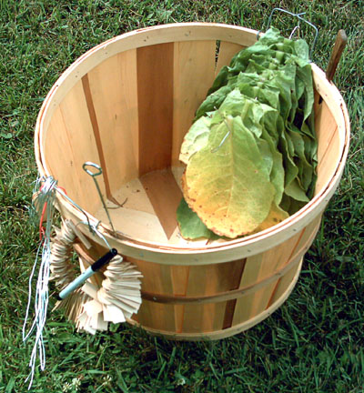 Garden_20110723_28_BasketWithMudLugs_400.jpg