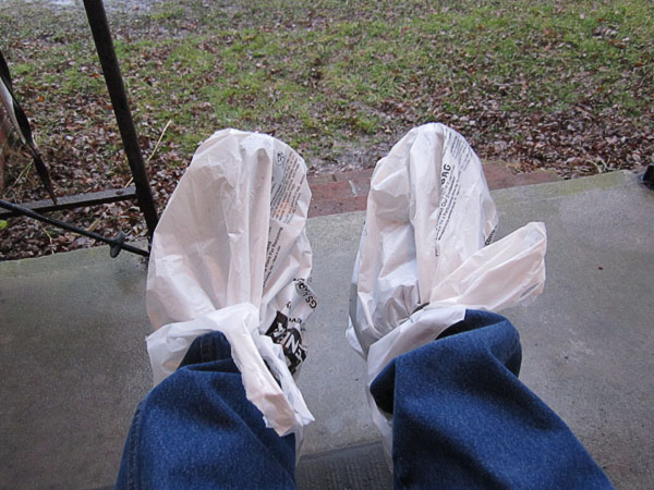 Garden20220224_6241_bootMudCovers_600.jpg
