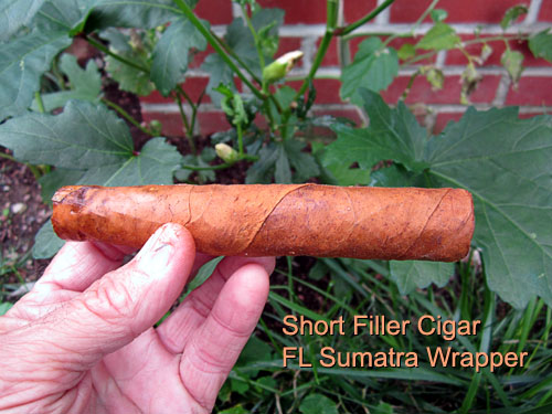 Garden20150808_1990_cigar_shortFiller_500.jpg