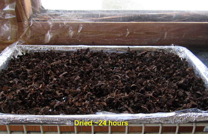 Garden20241220_7498_stewedCigar_Cavendish_07_dried_700.jpg