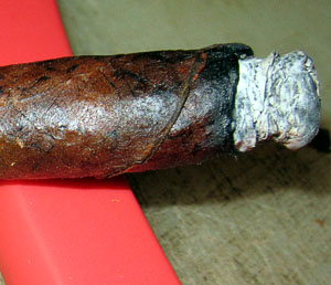 Cigar_IzmirOzbas_Ootz20120315_108_close_300.jpg