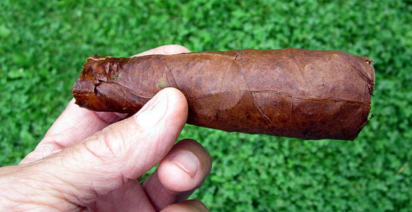 Garden20170613_2715_cigar_coronaObesa_600.jpg
