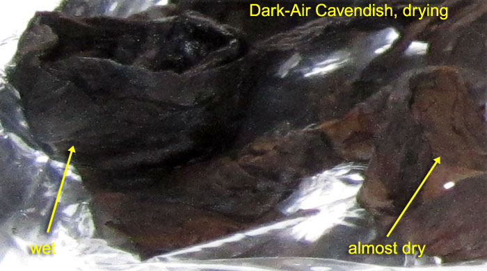 Garden20190222_4147_DarkAir_Cavendish_drying_closeup_700.jpg