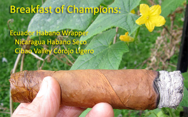 Garden20180809_3794_cigar_BreakfastOfChampions_600.jpg