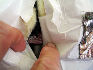 FlueCure20120715_366_AdjustmentPeekABoo_300.jpg