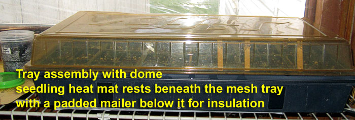 Garden20260320_7735_trayAndDomeOnHeatMat_700.jpg