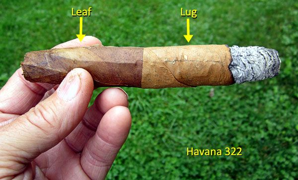 Garden20160605_2171_cigar_Havana322_600.jpg